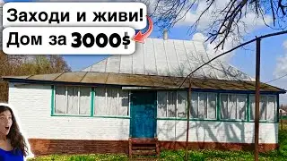 🇺🇦 Заходи и живи! Дом в селе за 3000$ Продажа недвижимости за копейки Всё есть. Уютное тихое село!