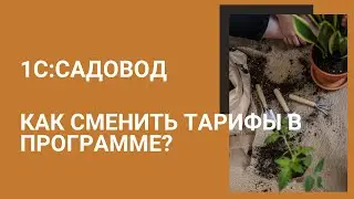 Смена тарифов в 1С:Садовод. Как правильно завести новый тариф и изменить текущий. Разбор ошибок