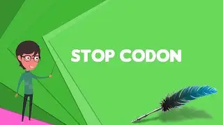 What is Stop codon? Explain Stop codon, Define Stop codon, Meaning of Stop codon