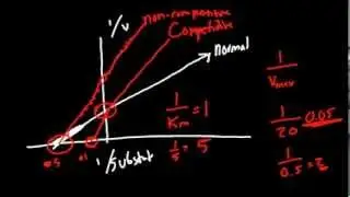 Pharmacodynamics Made Simple