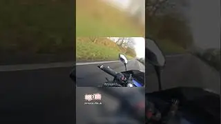 В лесу можно встретить и не такое😱 