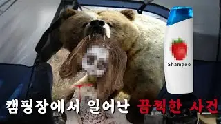 실화ㅣ딸기향 샴푸를 캠핑장에 가져가면 안 되는 이유ㅣ손안의세상