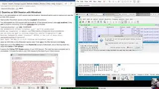 CBROPS - 21.2.12 Lab - Examining Telnet and SSH in Wireshark