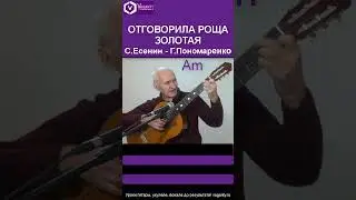 Отговорила роща золотая/С.Есенин - Г.Пономаренко/песни под гитару