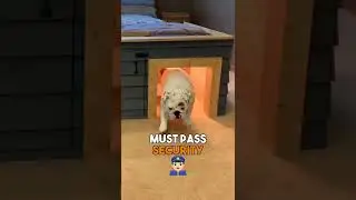 The Worlds Most Expensive DOGGY MANSION! 🤯 