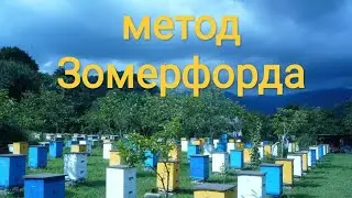 метод Зомерфорда