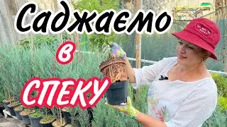 В СПЕКУ саджаємо РОСЛИНИ.100%
