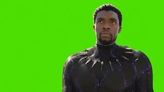 BLACK PANTHER Green Screen VFX studio