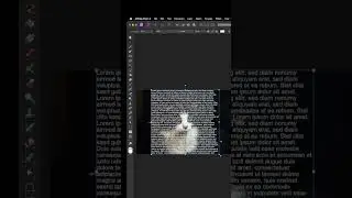 Create a Text Portrait Effect (Overlay Effect) | Affinity Photo Tutorial