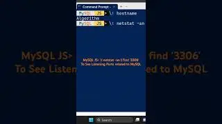 MySQL Shell Running ‘netstat -an’ Command #shorts