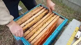 Февраль Первые работы на пасеке.