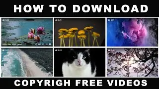 How to Download Copyright Free Videos in 2023 | copyright free videos | royalty free video website