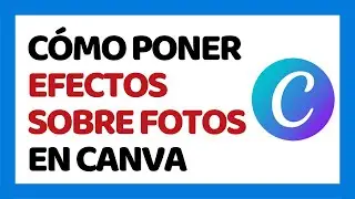 How to Put Effects on Canva