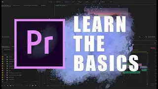 LEARN THE BASICS of ADOBE PREMIERE PRO 2020 (Tutorial For Beginners)