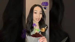 Необычный древесно-пудровый аромат с ирисом🌺