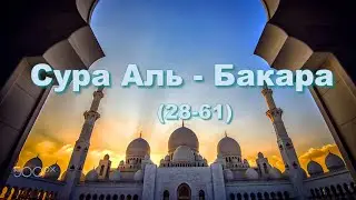 Сура Аль - Бакара 28-61. Не облекайте истину в ложь и не скрывайте истину, тогда как вы знаете ее.