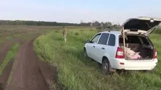 Кролиководство.Косим траву для кроликов
