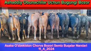 Asaka O'zbekiston Chorva Bozori Semiz Buqalar Narxlari 11-aprel, 2024