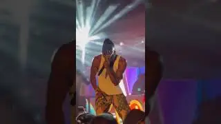 Pallaso Performs Yinama Live What a sound 📣 Rugby Championship 2024 Party 🎈