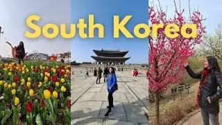 South Korea 2024 Travel Guide: Place to Visit in Seoul, South Korea