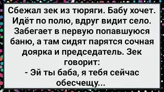 Как Беглый Зек Хотел Доярку Обесчестить! Большой Сборник Свежих Смешных Жизненных Анекдотов!