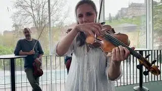 Instrumente - BAM erklärt - Die Violine & das Violoncello - Bamberger Symphoniker Education