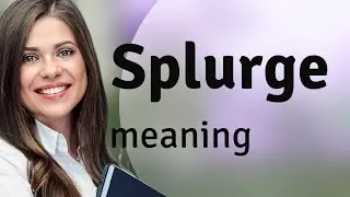 Splurge | what is SPLURGE meaning