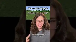 Minecraft NEEDS a Pet Update! 