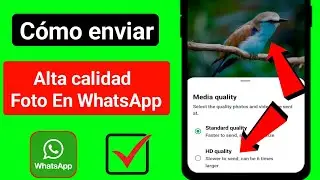 cómo enviar fotos de alta calidad en whatsapp
