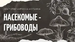 Удивительные грибы: насекомые-грибоводы