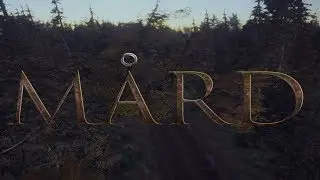 БЕЗУМИЕ В ГЛАЗАХ МОИХ ИЛИ В ИГРЕ ?►MARD