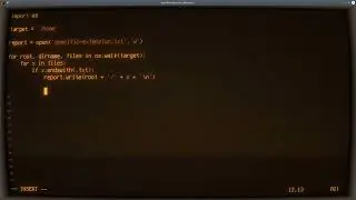 Python ASMR - Find Files Recursively with Specific Extension - No Talking