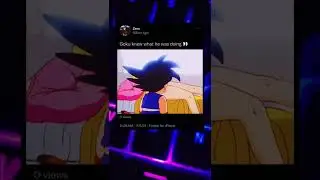 Goku Slaps Bulmas 🐱