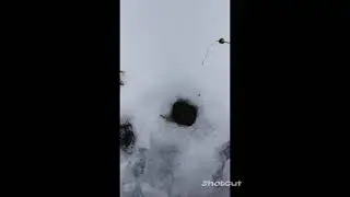Лифтовая лунка окуня. Ловлю на безмотылку