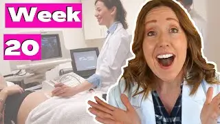 20 Weeks Pregnant in Months | PLUS the 20 Week Ultrasound.