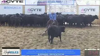 Reysplendent & Lincoln Veraart. 2023 NCHA NAt Final, $5,000 Novice (223)