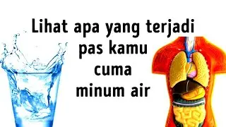 Efek Apa Aja yang Akan Kamu Rasakan kalau Kamu Cuma Minum Air Putih?