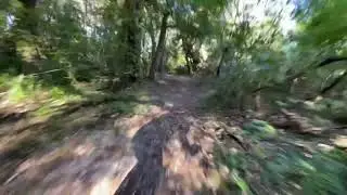 Bush track Onewheel