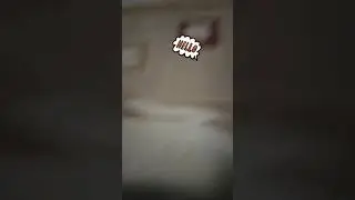 копро