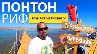 ЕГИПЕТ 2021/ROYAL ALBATROS MODERNA 5*/МИФЫ И ПРАВДА О ДЛИННОМ ПОНТОНЕ И ОТСУТСТВИИ РИФА/ПОСМОТРИ САМ