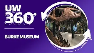 BURKE MUSEUM IN 360°