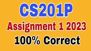 CS201P Assignment 1 Solution spring 2023,CS201p Assignment 1 Solution 2023