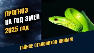 Прогноз на год Змеи Что будет в 2025 году