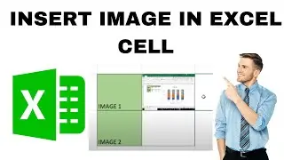How to Insert Image in Excel Cell? Resize Image