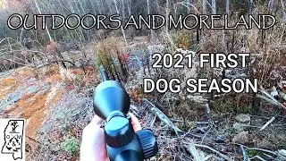 2021 deer dog highlight. Deer dog hunting.