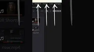 Customize & DECLUTTER your DaVinci Resolve Layout!
