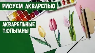 Рисуем акварелью. Акварельные тюльпаны