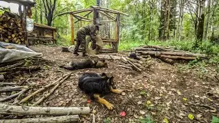 Землянка у озера. Чудо беседка в лесу. Новые гости!