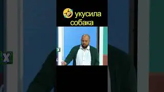 🤣 УКУСИЛА СОБАКА | уральские пельмени 