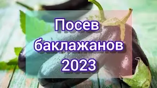 🍆🍆🍆Как я сею баклажаны// посев баклажанов 2023🍆🍆🍆